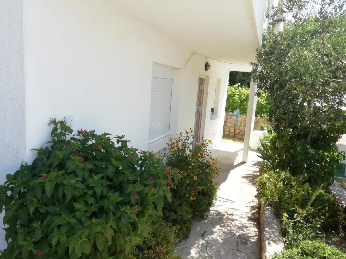 Apartmán Zlata Ražanac