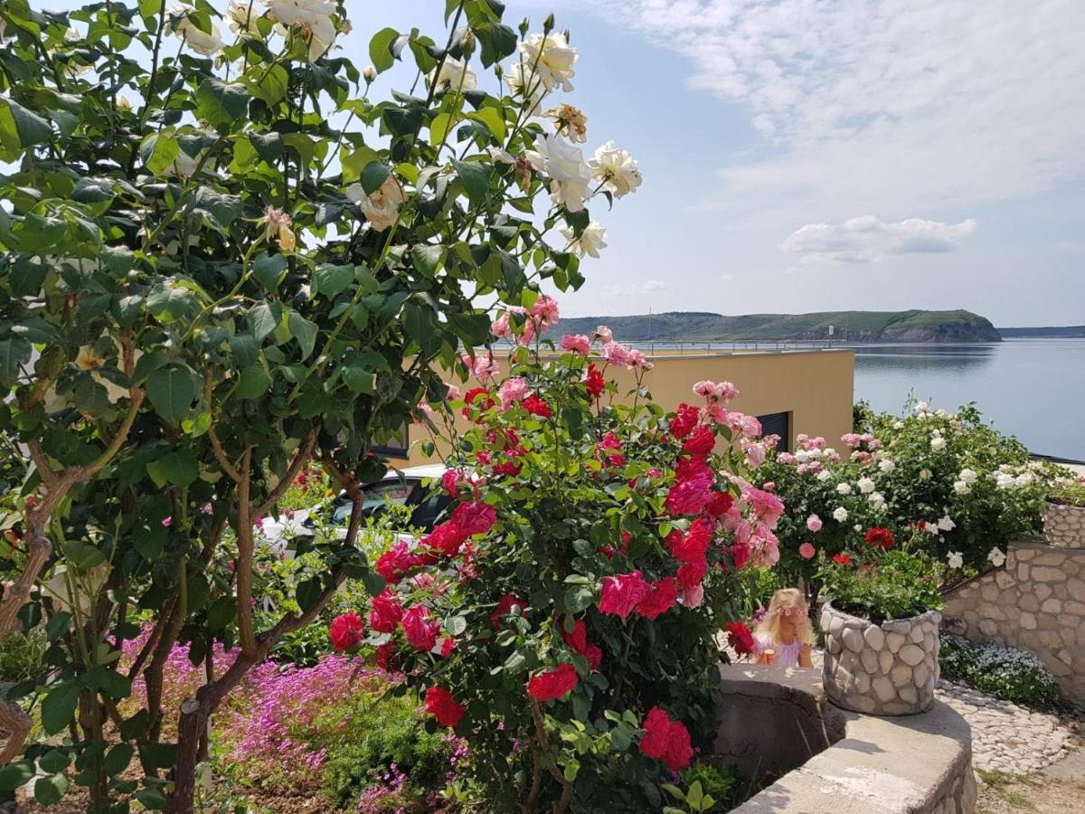 Zlata Apartamento Ražanac